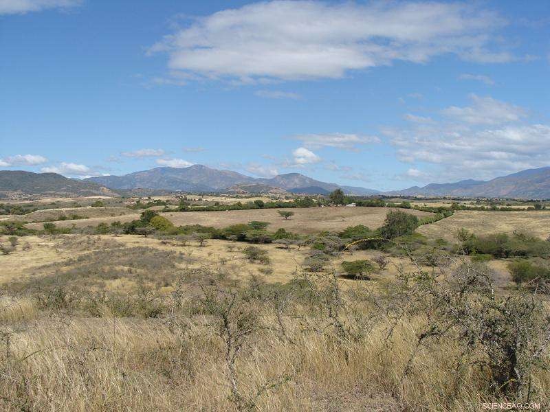 Climate Scientists Release Comprehensive Caribbean Drought Atlas