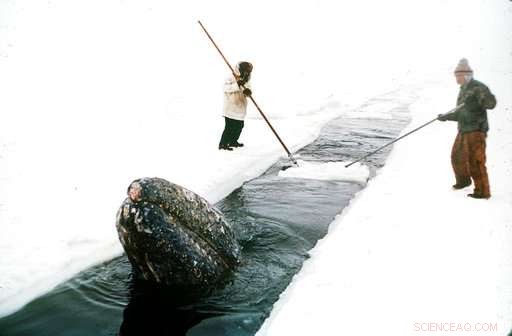 The Northwest Passage: A History of Danger and Loss