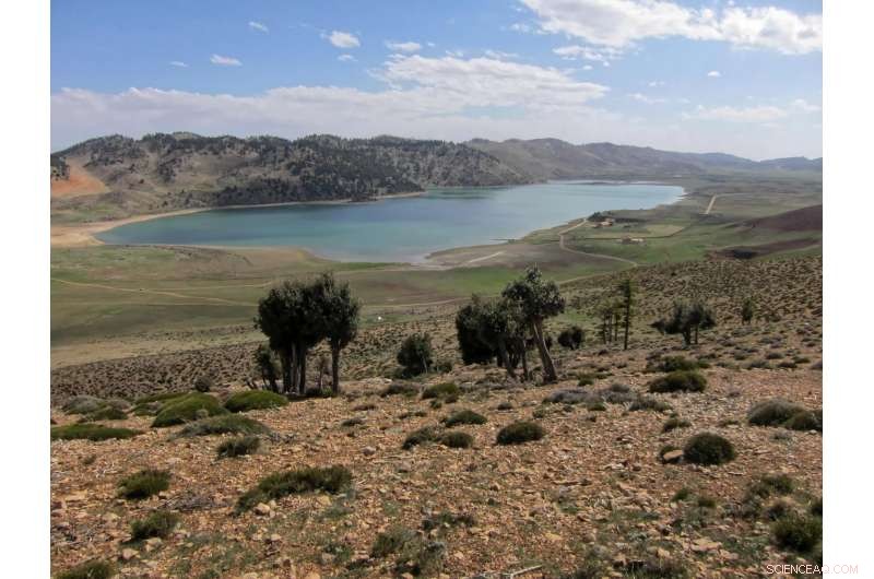 New Dust Deposit Findings Reveal Sahara’s Historical Climate Shifts