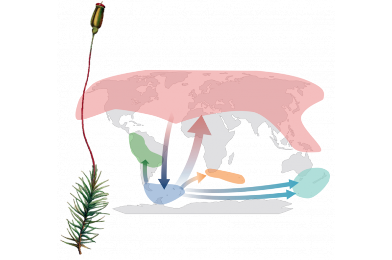 Global Moss Migration Unveiled: New Study Maps Polar Species Dispersal