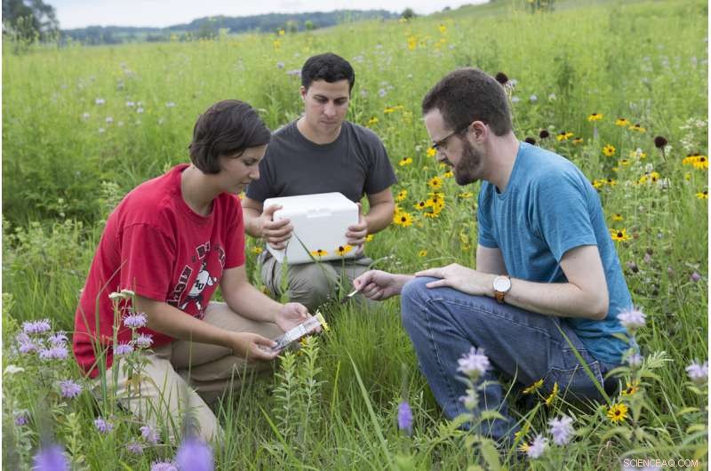 Nachusa Grasslands Restoration Shows Positive Soil Impact