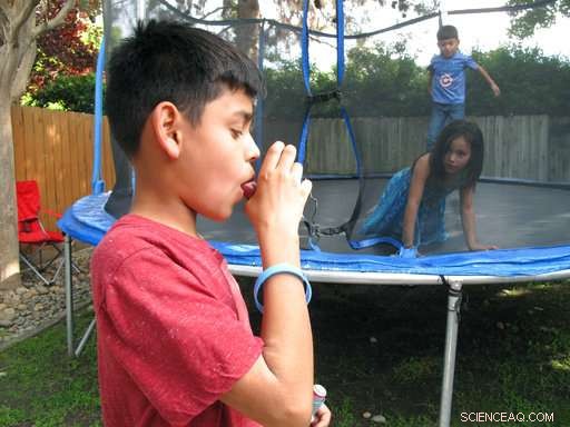 California s Farming Heartland Turns to Trump Amid Growing Air Pollution Crisis
