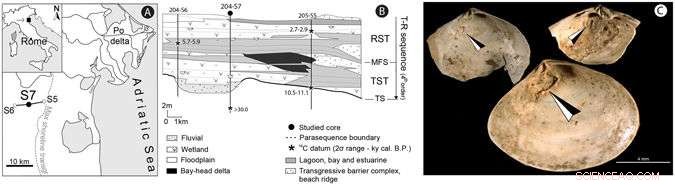 Italian Fossil Findings Show Climate Change Heightens Parasitic Infection Risk