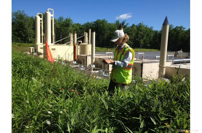 Shale Gas Extraction Accelerates Invasive Plant Spread in Pennsylvania Forests