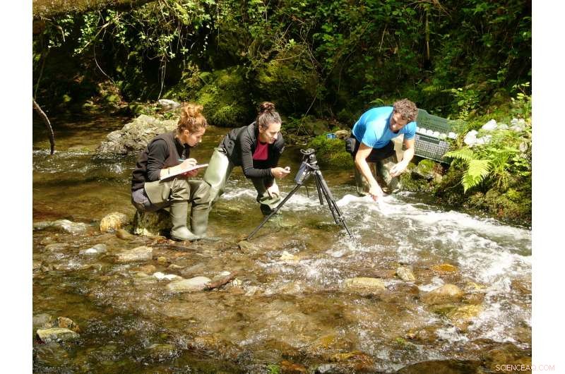 How River Functioning Reveals Ecological Health – New Study Insights