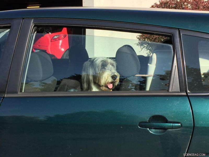 Predicting Vehicle Cabin Temperature: Key Roles of Ambient Heat, Solar Radiation, and Wind