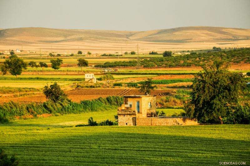 Syria s Conflict: Climate Change, Drought, Migration – Unpacking the Connections