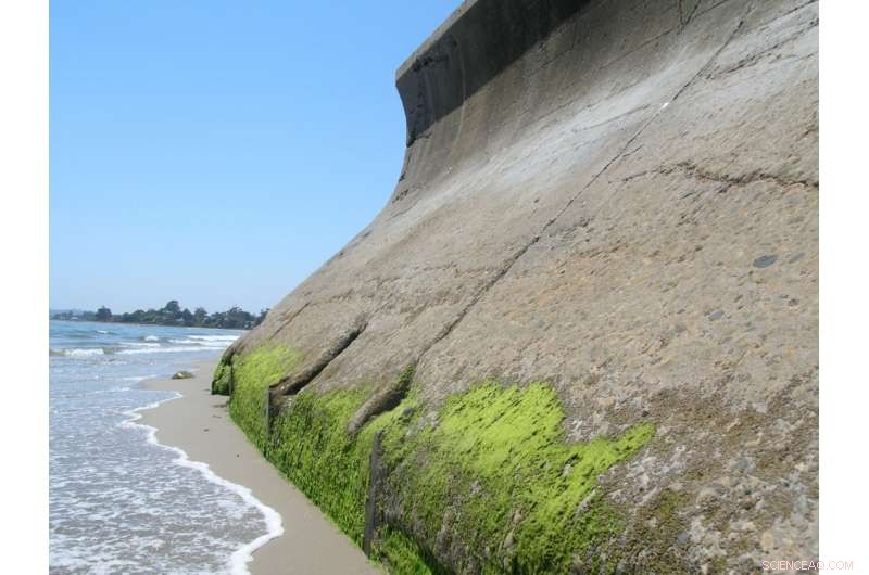 Researchers Validate Coastal Armoring Model with New Experimental Data