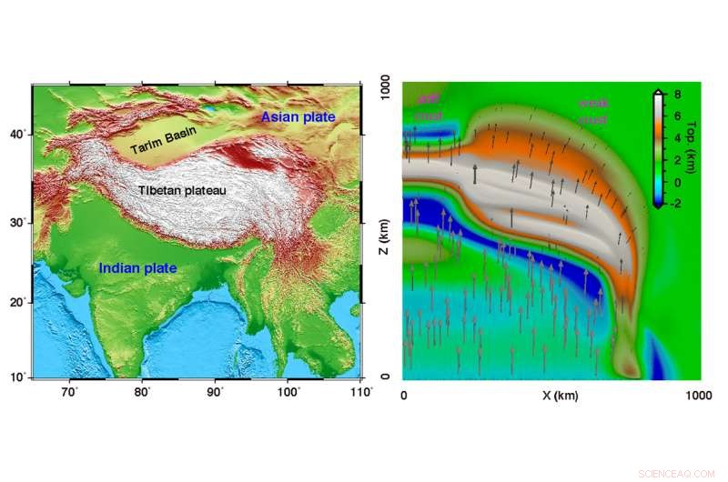 Plate Tectonics Strength Revealed as Key Driver of Tibetan Plateau’s Shape