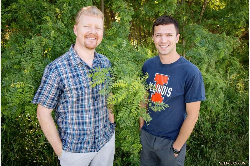 Scientists Refine Plant Carbon‑Cycle Models for Greater Accuracy