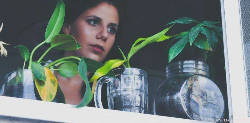 The Essential Benefits of Indoor Plants for Apartment Living