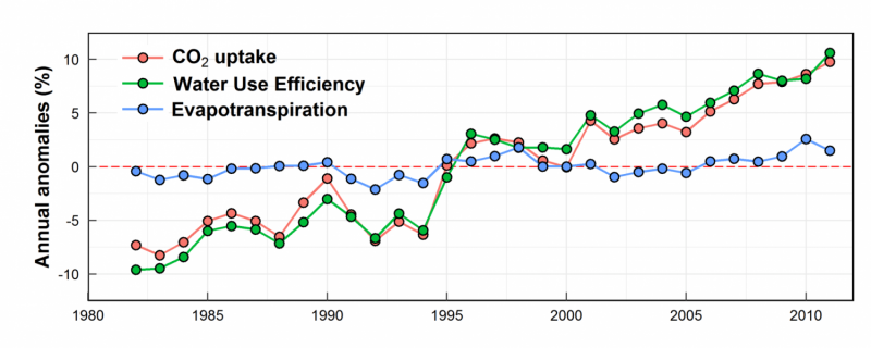 Higher CO₂ Levels Enhance Plant Water Efficiency Worldwide