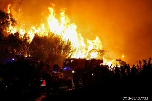 France Seeks European Assistance to Combat Devastating Côte d Azur Wildfires