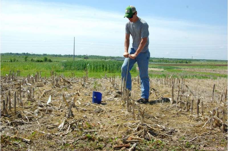 Optimizing Fertilizer Use for High-Yield Claypan Agricultural Soils