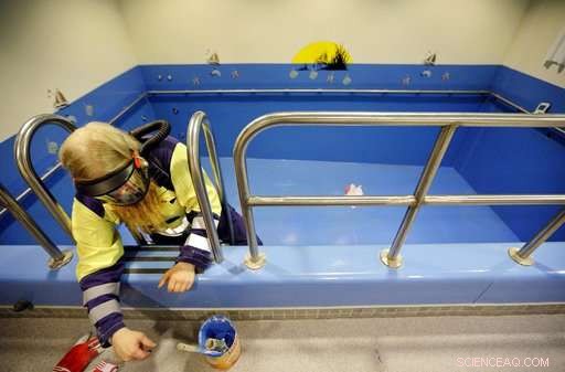 A Journey Through the Arctic: Riding the MSV Nordica Icebreaker