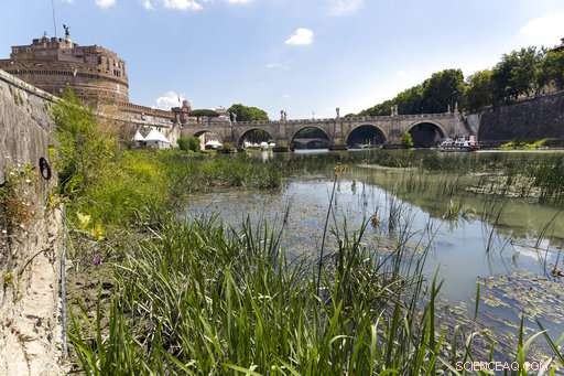 Rome Aims to Sidestep Water Rationing Amid National Drought Crisis