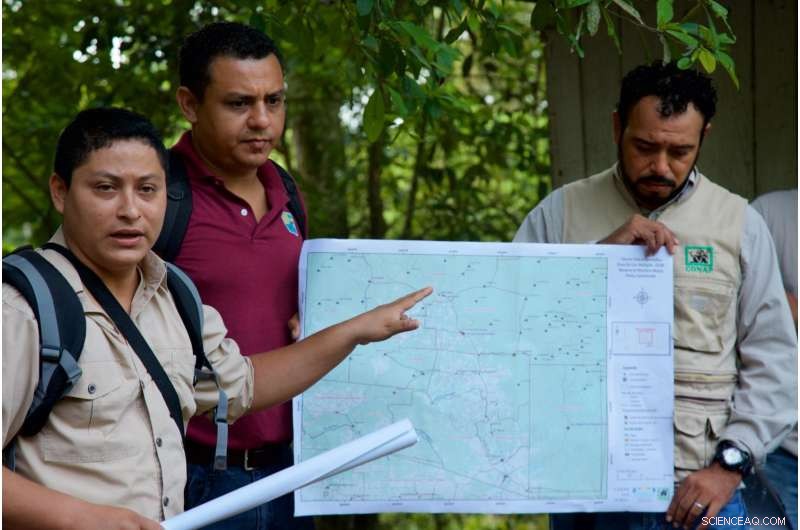 Rapid Forest Loss in Central America Threatens People and Wildlife