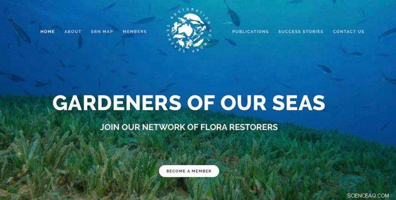 Launching an Online Campaign to Preserve Australia s and New Zealand s Seagrass Beds