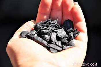 Biochar: A Dual Solution for Air Quality and Agriculture