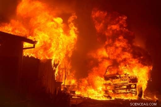 Experts Warn: Climate Change Amplifies Wildfire Risk
