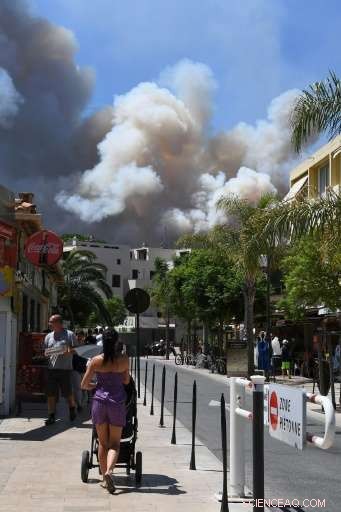 Experts Warn: Climate Change Amplifies Wildfire Risk