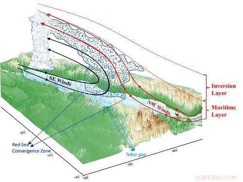Enhanced Modeling Uncovers El Niño’s Role in Boosting Red Sea Coastal Rainfall