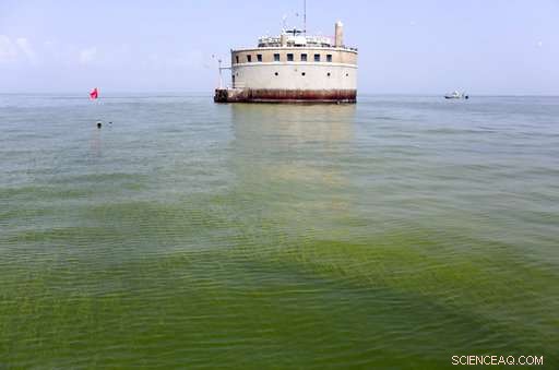Scientists Develop Early Warning System to Detect Harmful Algal Blooms in Lakes