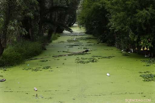 Critical Sewage System Failures Endanger Mexico’s Popular Tourist Destinations