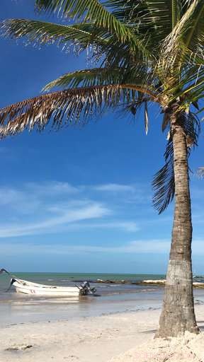 Critical Sewage System Failures Endanger Mexico’s Popular Tourist Destinations