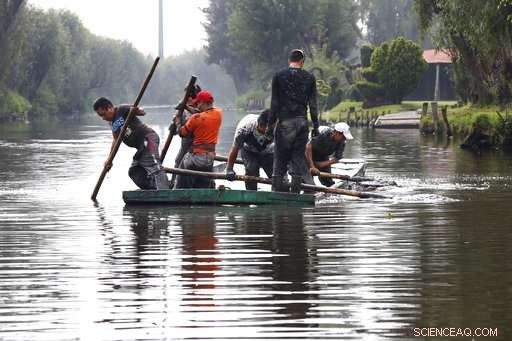Critical Sewage System Failures Endanger Mexico’s Popular Tourist Destinations