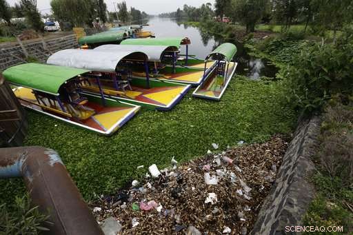 Critical Sewage System Failures Endanger Mexico’s Popular Tourist Destinations