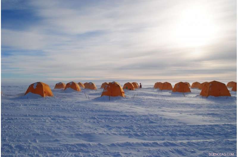 Methane‑Eating Microbes Could Cut Greenhouse Gas Emissions from Melting Antarctic Ice Sheets
