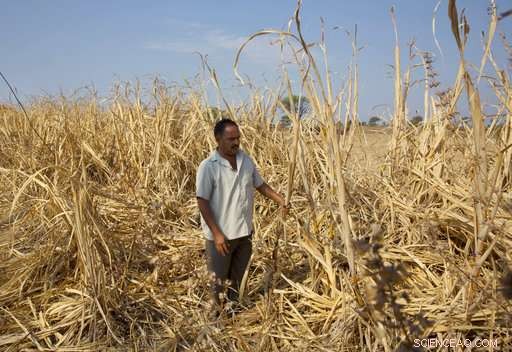 Study Links Rising Climate Warming to Increased Farmer Suicide Rates in India