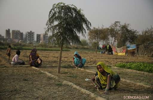 Study Links Rising Climate Warming to Increased Farmer Suicide Rates in India
