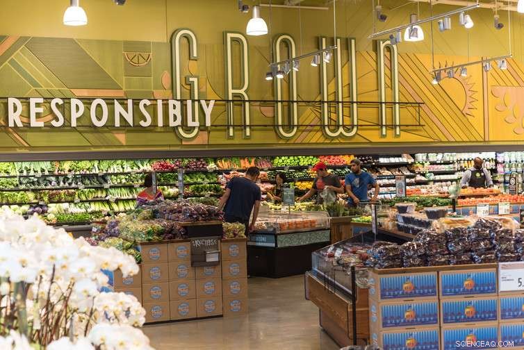 The Global Food System: Wealth Accumulation for the Rich, Marginalization of the Poor