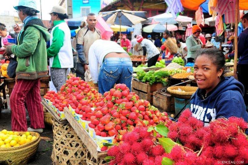 The Global Food System: Wealth Accumulation for the Rich, Marginalization of the Poor