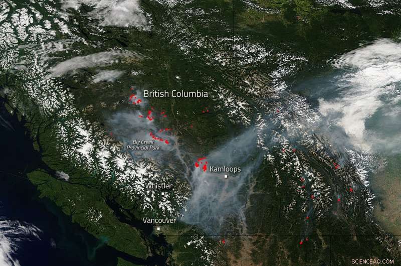 Western Canada Battles Ongoing Wildfire Crisis