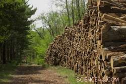 Guided Pluralism: A Comprehensive Framework for Valuing Ecosystem Services