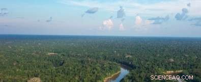 New Research Highlights Amazon Rainforest s Crucial Role in Atmospheric Chemistry Regulation
