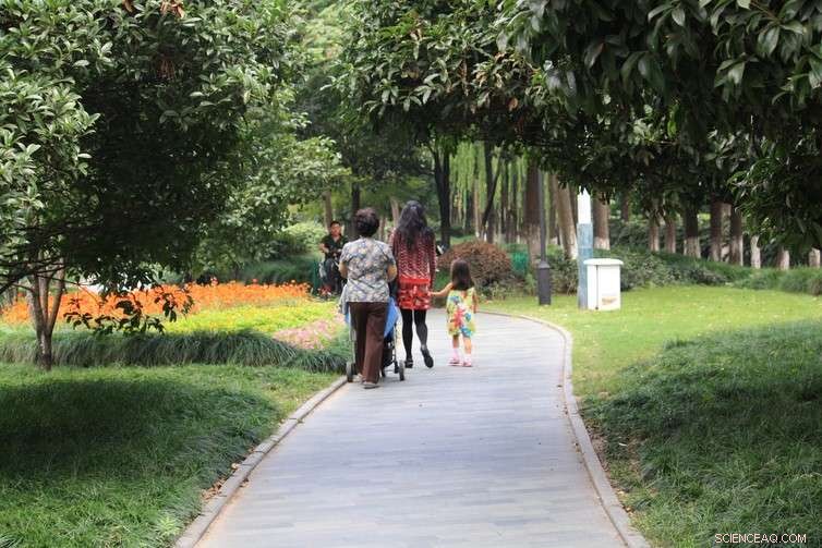 Urban Planners Lack Insight into How Cities Affect Mental Health