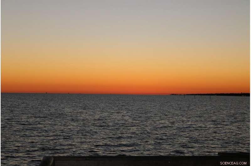 Record-Breaking Dead Zone Threatens Gulf of Mexico Ecosystem