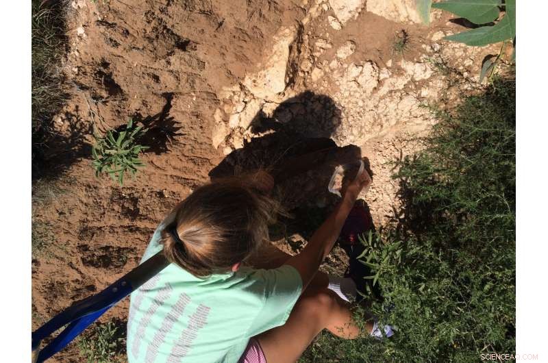 Portable Field Sensor Rapidly Detects Soil Issues with Precision