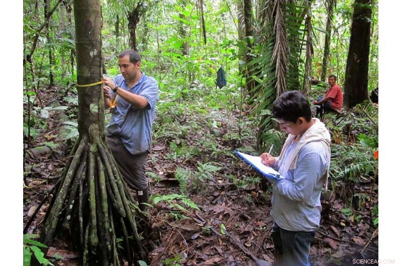 Harnessing Financial Incentives to Preserve Tropical Forest Diversity