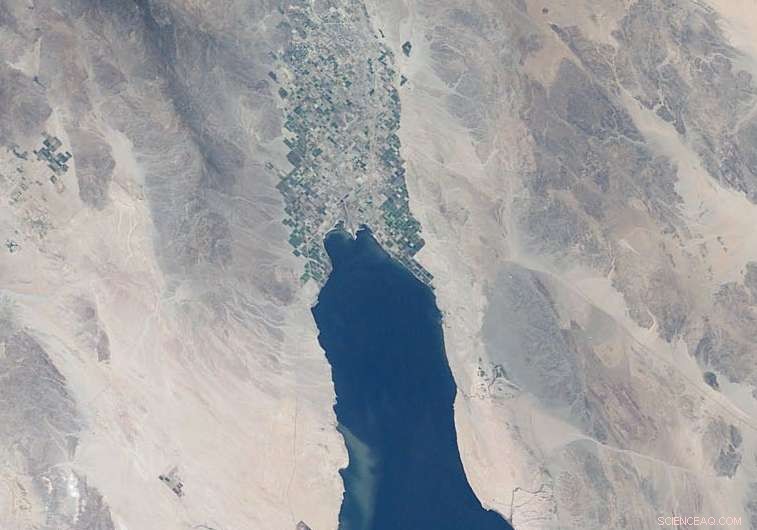 Shrinking Salton Sea Generates Toxic Dust, Threatening Ecosystems and Public Health