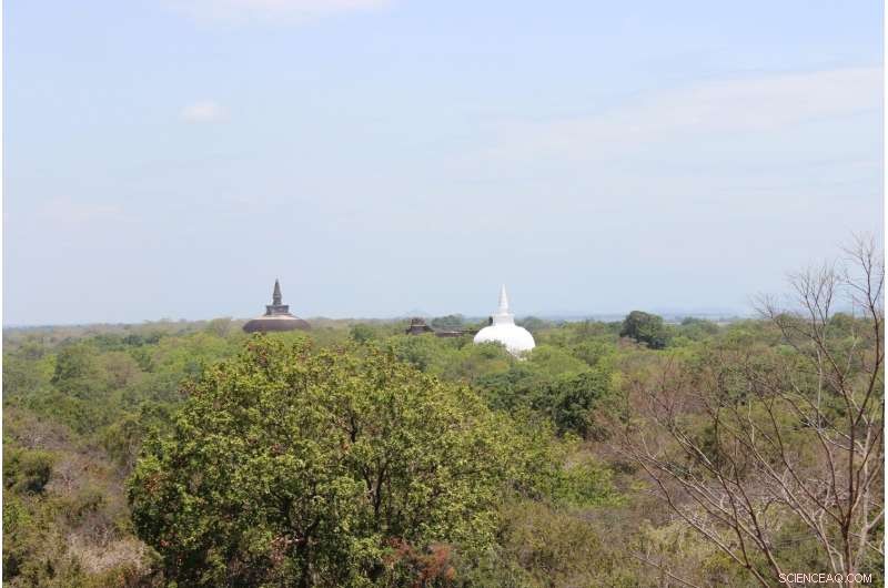 Humans Have Altered Tropical Forests for 45,000 Years: New Evidence