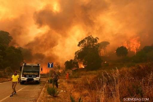 Record Heatwave and Drought Ignite Fatal Wildfires Across Italy