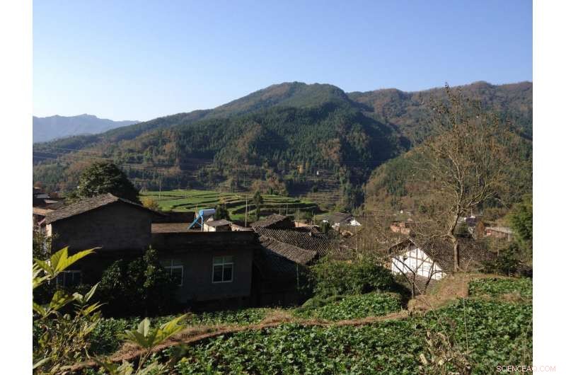 Paying Rural Communities to Restore China’s Native Forests: A New Conservation Pathway