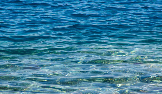 Microbial Fossils in Arabian Sea Sediments Reveal Climate History