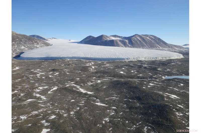 Intense 2002 Glacial Melt Sparks Decade‑Long Ecosystem Shift in Antarctica’s Polar Desert