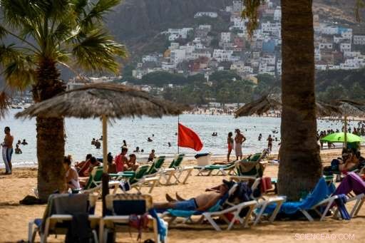 Canary Islands Keep Beaches Open Amid Algae Bloom, Advising Visitors to Avoid Contact